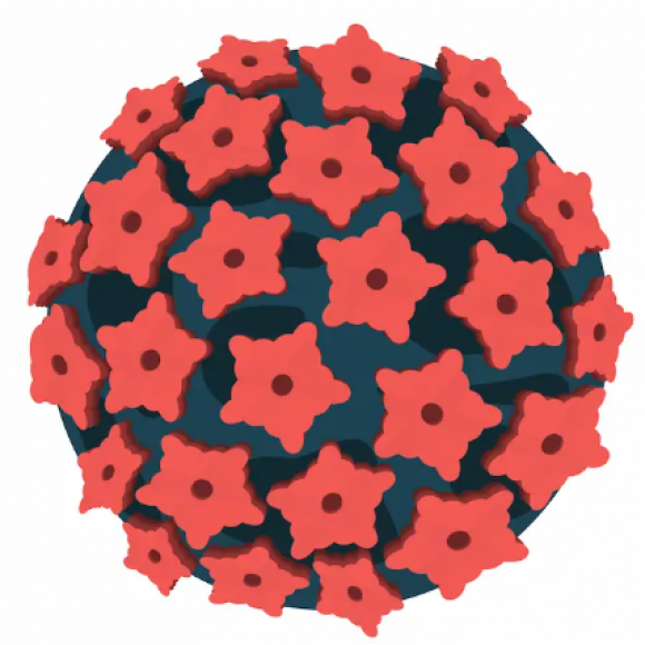 Вірус папіломи людини: що потрібно знати та як захистити себе